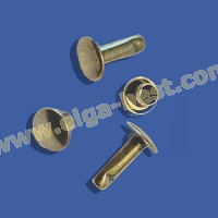 Rivets with tooling 10mm