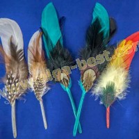Multicolour feathers