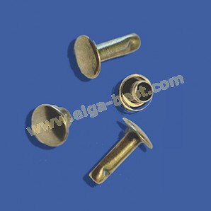 Rivets with tooling 10mm