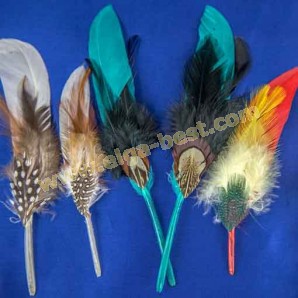 Multicolour feathers